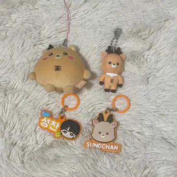 RIIZE 성찬 4세트