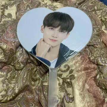 정한 부채 carat land