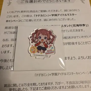 하나미 사키 아크릴 스탠드 빅