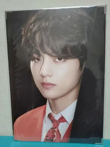 [ BTS ] WOS 태태 프리미엄 사진 & 라이브 DVD