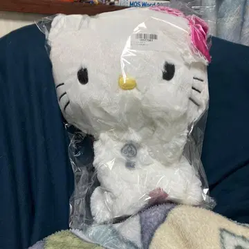 챠미키티 그루밍 BIG 봉제 인형