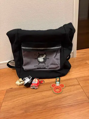 디즈니랜드 파크 한정판 백팩 + 키링