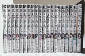 장미는 아름답게 피네 전 20권 세트 중고품