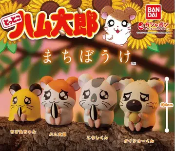 꼬마 햄토리 기다림 가챠 전 4종 풀 컴프 세트