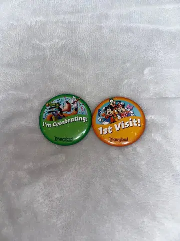 캘리포니아 디즈니랜드 핀 배지 2개 세트