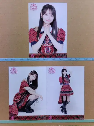 AKB48 이토 모모카 20th 일본 무도관 랜덤 브로마이드 컴플리트