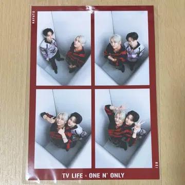 ONE N' ONLY TVLIFE 아마조니아 카드 REI HAYATO