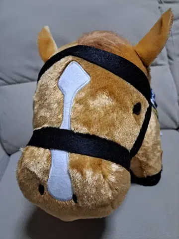 서러브레드 컬렉션 후와후와 BIG 오르페브르 GIGO 한정판