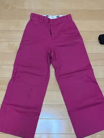 Dickies 디키즈 beauty&youth