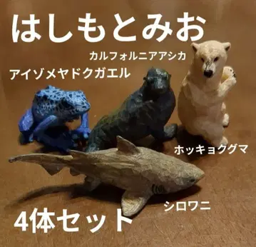 하시모토 미오 아이조메야도쿠가에루, 북극곰, 백상아리, 캘리포니아 물개