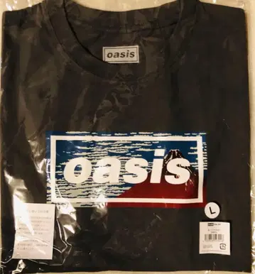 oasis 일본 한정판 후지산 아카후지 후지 그레이 T셔츠 L사이즈