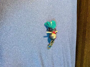 하와이 올려다보는 플라걸