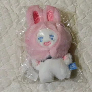 온유 샤이니 진냥 키링 ONEW JJINGNYANG'