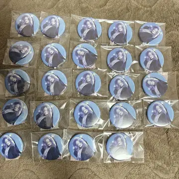 FGO 영령기행 영기소환 캔뱃지 아나스타샤 24개