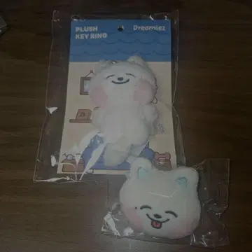 NCT DREAM Dreamiez 제노 세트