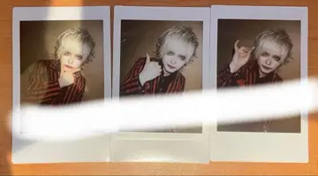 나방과 나비 소마 폴라로이드 세트