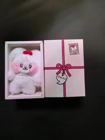 IVE minini minive cherini 원영