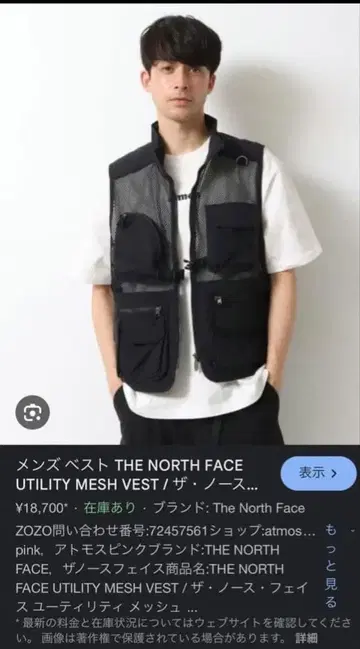 THE NORTH FACE 메쉬 베스트