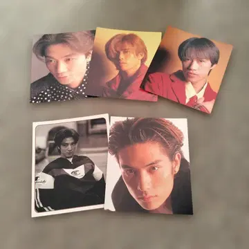 히카리 GENJISUPER5 포트레이트 사진 15장 세트