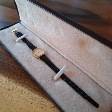 시티즌 엑시드 블랙 가죽 손목시계