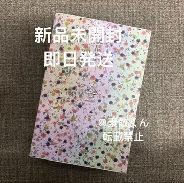 베어브릭 anever 400% 100% 베어브릭 안에버