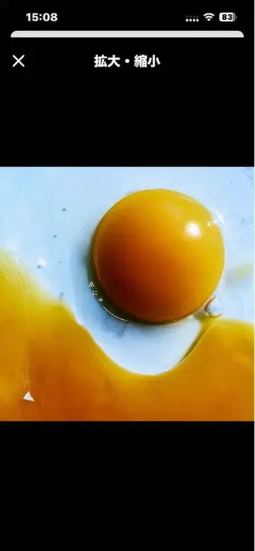 MY FIRST STORY 티셔츠 2020 투어