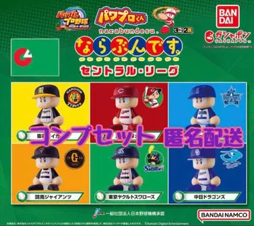 파워프로군 나라분데스 세리그 홈 컴프