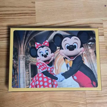 미키 미니 엽서 세트