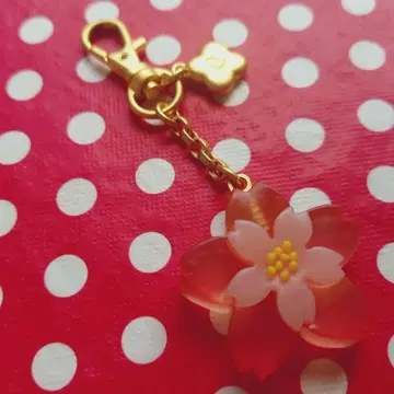 큐포트 벚꽃 양갱 백참