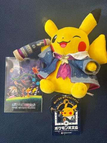 포켓몬 천문대 별하늘 피카츄 봉제 인형 덤 포함 (엽서)