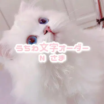 N 님 부채 문구 오더