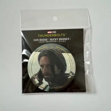 세바스찬 스탠 버키 주얼리 캔뱃지 9