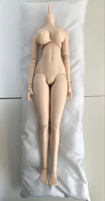 보크스 DDdy 베이스 바디 f3 세미 화이트