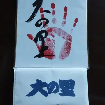 다이노사토 사인 색지 타월