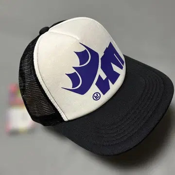 Splatoon 2 킹 플립 캡