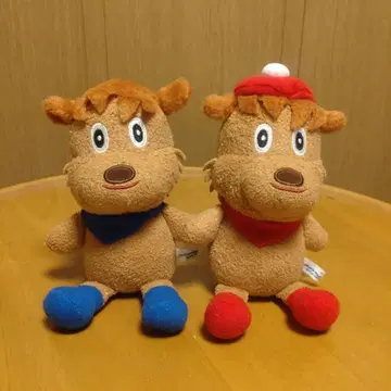 까꿍 까꿍 짱짱 짱코