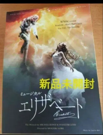 뮤지컬 도호 엘리자벳 DVD 새상품 하나소 마리 시로타 유