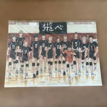 하이큐 원화전 클리어 파일 (2장 세트) [미사용] 카라스노 고교 멤버