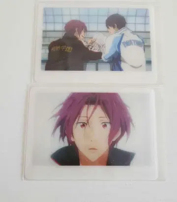 Free! 마츠오카 린 미니 포토 카드