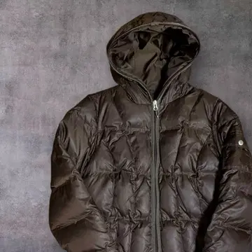 Eddie BAUER 프리미엄 구스 550FP 다운 자켓 BRW