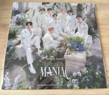 Stray Kids 2nd 월츠 MANIAC 팜플렛