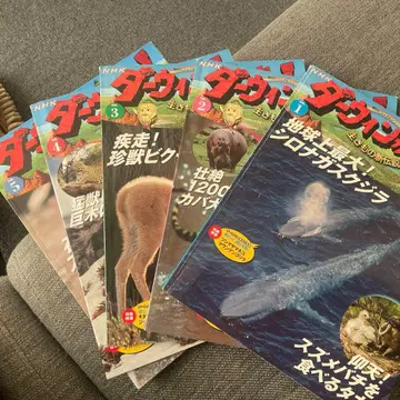 NHK 다이너소어 시리즈 전 5권+DvD