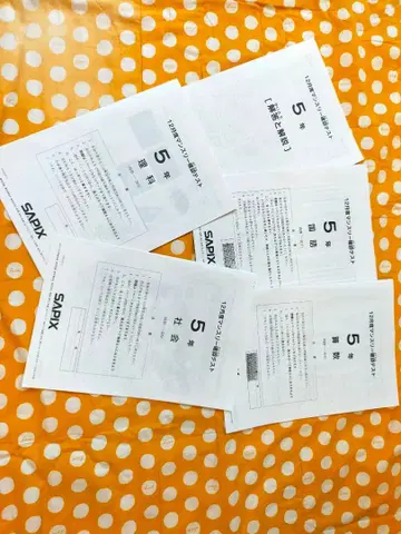 SAPIX 5년 12월 먼슬리 확인 테스트 2019년 원본 6