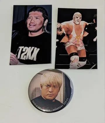 권왕 프로레슬링 노아 NOAH 캔뱃지