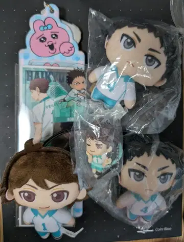 아오바죠사이 세트