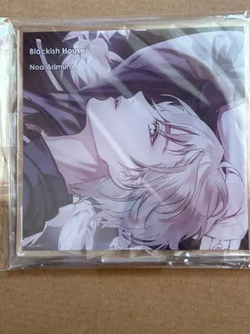 Blackish House 브라하 아리무라 노아 복권 아크릴 스탠드