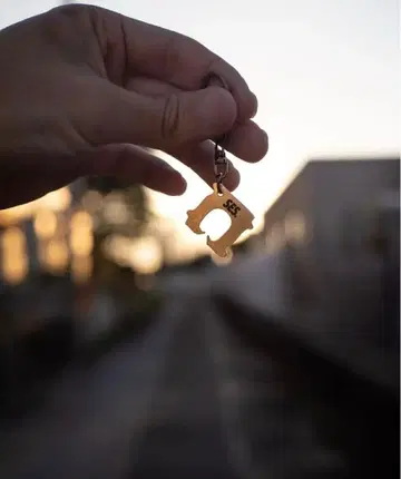 놋쇠 백 클로저 session. 세션 ses