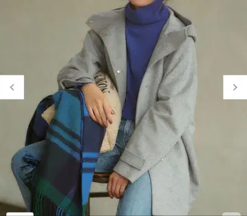 23구 울 캐시미어 비버 후드 부착 숏코트