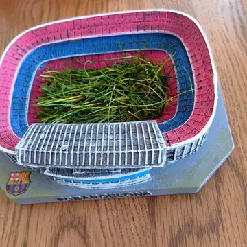 FC 바르셀로나 스타디움 모델 ESTADI