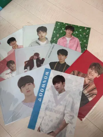 SEVENTEEN 원우 WONWOO 클리어 파일